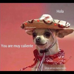 Meet your Posher, Daniela